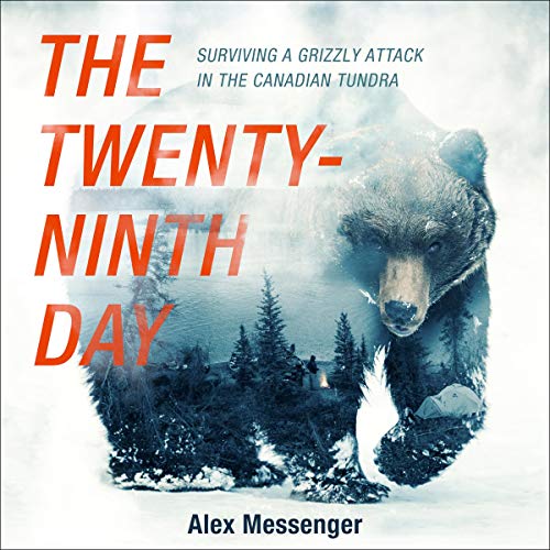 The Twenty-Ninth Day Audiolibro Por Alex Messenger arte de portada