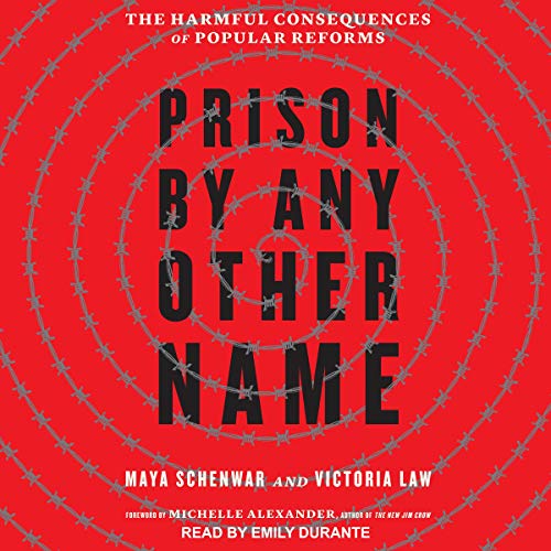 Prison by Any Other Name Audiobook By Maya Schenwar, Victoria Law, Michelle Alexander - foreword cover art