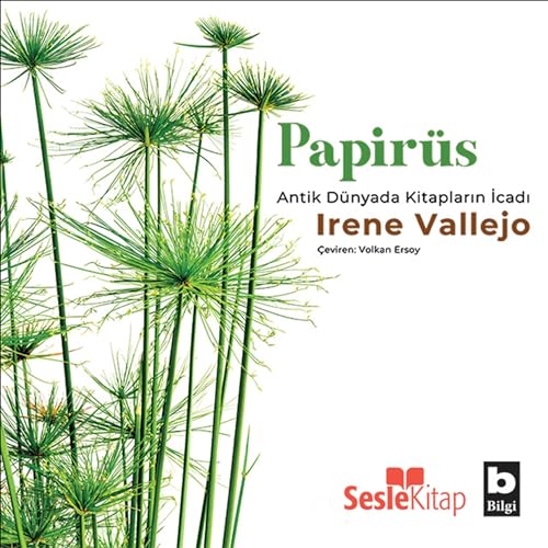 Papirüs - Antik Dünyada Kitapların İcadı Audiolibro Por Irene Vallejo arte de portada