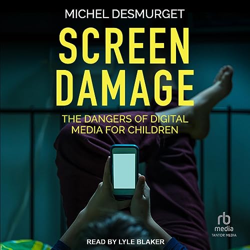 Screen Damage cover art