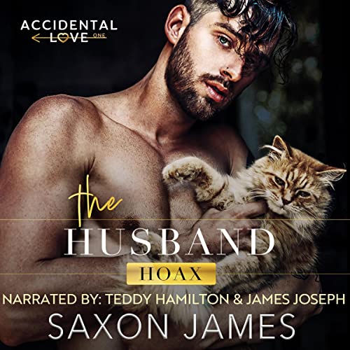 The Husband Hoax Audiolivro Por Saxon James capa