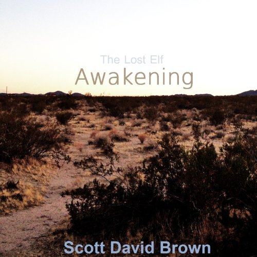 Awakening cover art