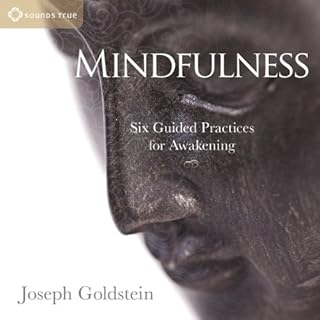 Mindfulness Audiobook By Joseph Goldstein cover art