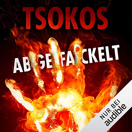 Couverture de Abgefackelt