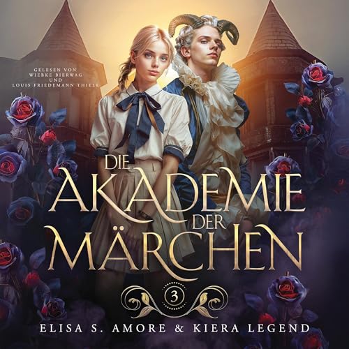 Die Akademie der Märchen Audiolivro Por Elisa S. Amore, Kiera Legend capa