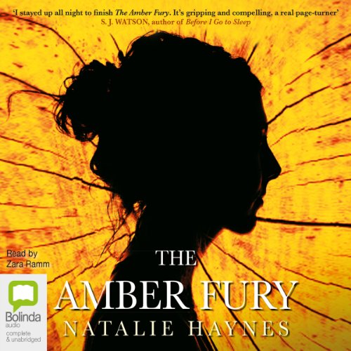 The Amber Fury cover art