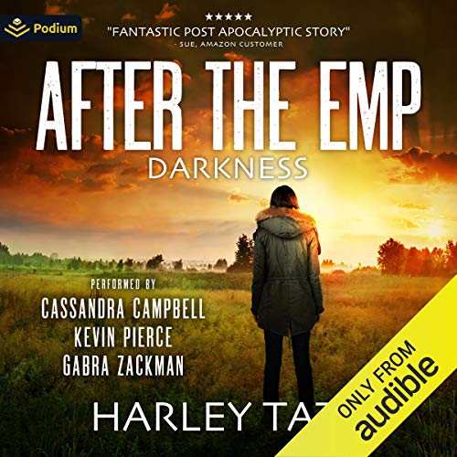 Darkness: After the EMP cover art