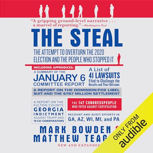 The Steal cover art