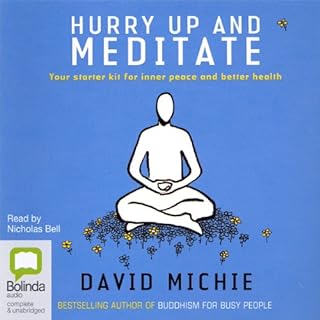 Hurry Up and Meditate Audiolibro Por David Michie arte de portada