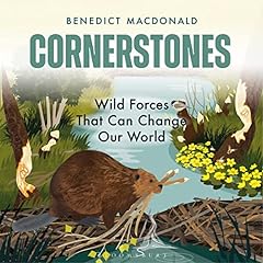 Cornerstones cover art