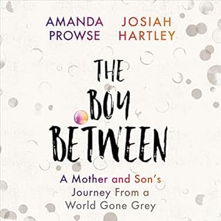 The Boy Between Audiolibro Por Josiah Hartley, Amanda Prowse arte de portada