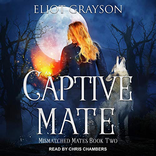 Captive Mate cover art