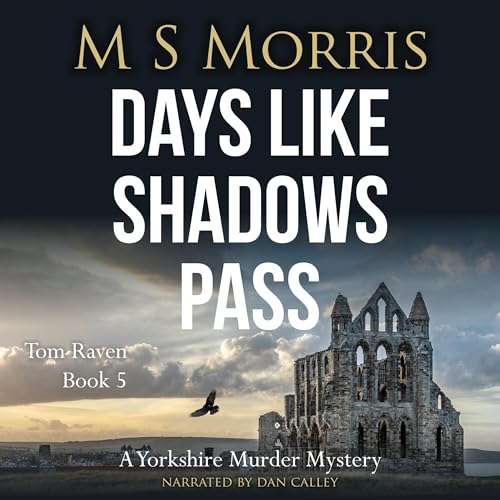 Days Like Shadows Pass cover art