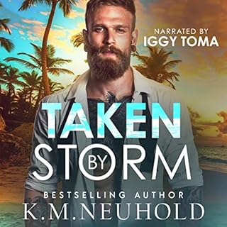 Taken by Storm cover art