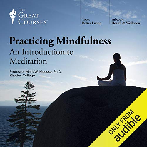 Practicing Mindfulness: An Introduction to Meditation cover art