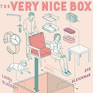 The Very Nice Box Audiobook By Eve Gleichman, Laura Blackett cover art