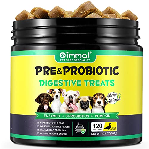 Probióticos para perros,Probióticos para perros para perros Enzimas digestivas, salud intestinal,picazón en la piel, alergias