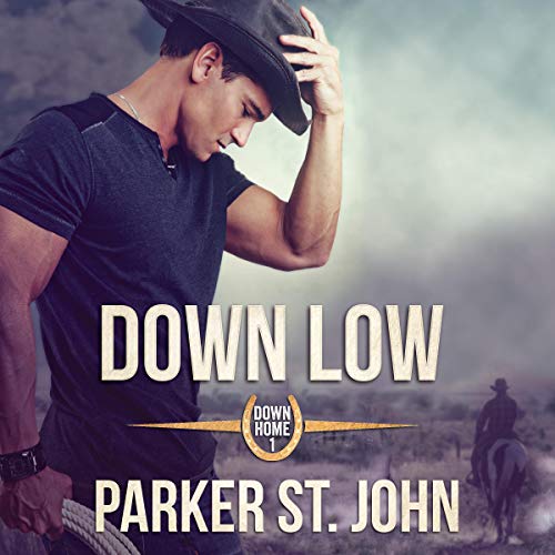 Down Low cover art