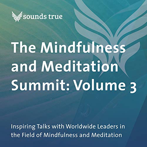 Page de couverture de The Mindfulness and Meditation Summit: Volume 3