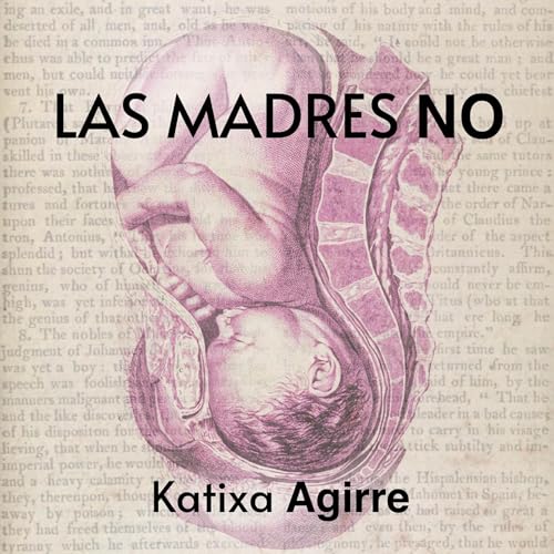 Las madres no [Mothers Don't] Audiobook By Katixa Agirre cover art