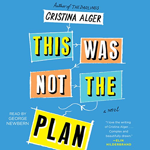 This Was Not the Plan cover art