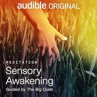 Sensory Awakening Audiobook By The Big Quiet cover art