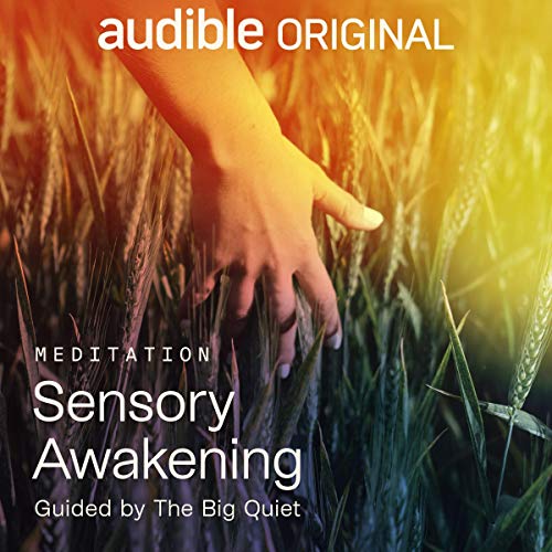 Sensory Awakening Audiobook By The Big Quiet cover art