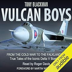 Vulcan Boys cover art