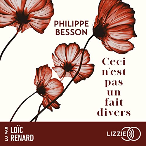 Ceci n'est pas un fait divers Audiobook By Philippe Besson cover art