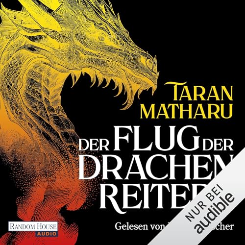 Der Flug der Drachenreiter cover art