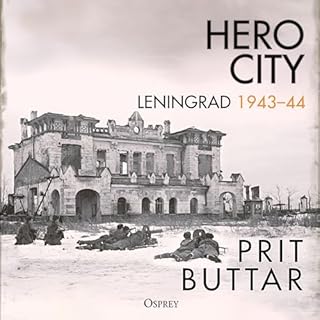 Hero City Audiobook By Prit Buttar cover art