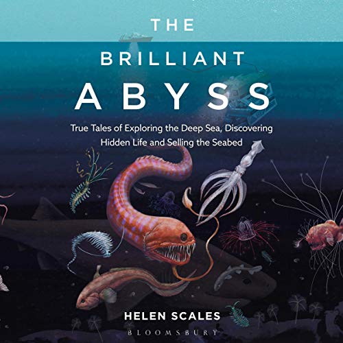 The Brilliant Abyss cover art