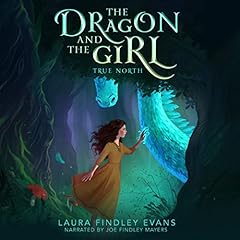 True North Audiobook By Laura Findley Evans cover art