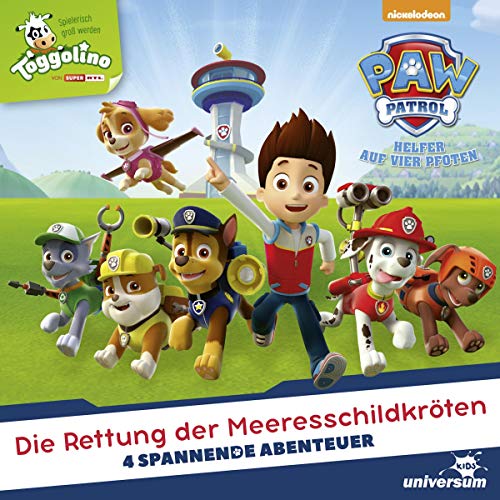 Die Rettung der Meeresschildkröte Titelbild