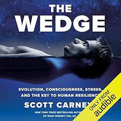 The Wedge cover art