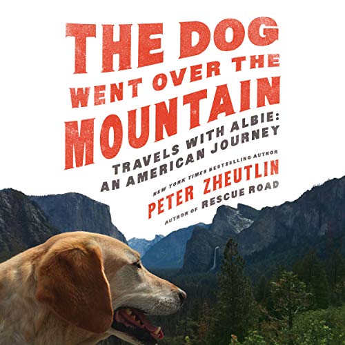 The Dog Went Over the Mountain cover art