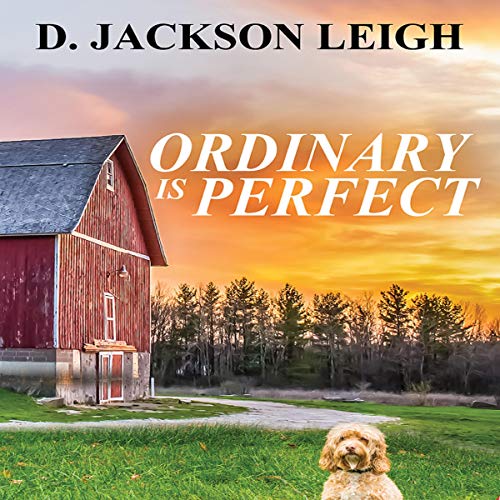 Ordinary Is Perfect cover art