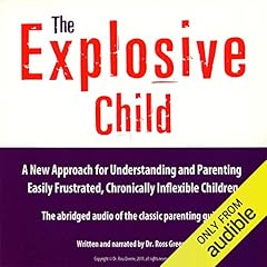 The Explosive Child cover art