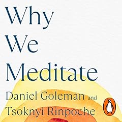 Why We Meditate cover art