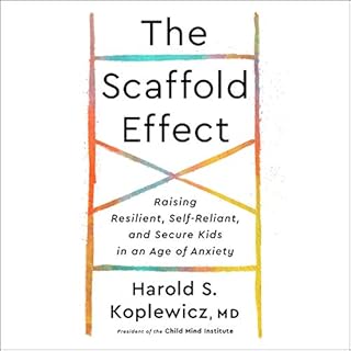 Page de couverture de The Scaffold Effect