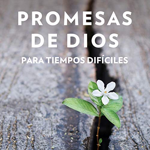 Promesas de Dios en tiempos difíciles [God's Promises When You Are Hurting] cover art