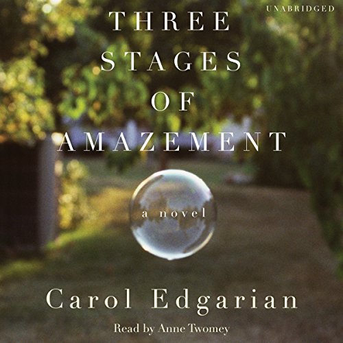 Couverture de Three Stages of Amazement