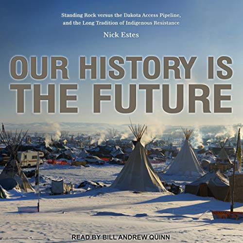 Page de couverture de Our History Is the Future