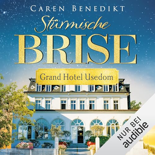 Stürmische Brise cover art