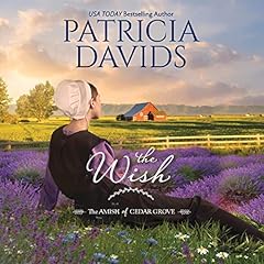 The Wish Audiobook By Patricia Davids cover art