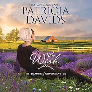 The Wish Audiolibro Por Patricia Davids arte de portada