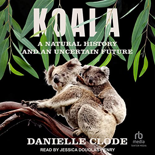 Koala Titelbild