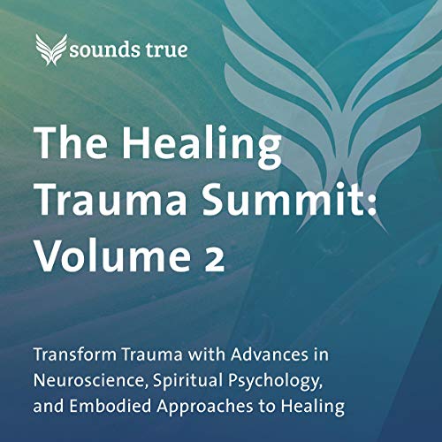 The Healing Trauma Summit: Volume 2 cover art