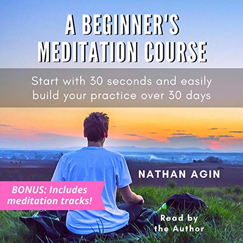 A Beginner's Meditation Course cover art