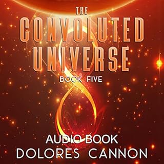 The Convoluted Universe, Book 5 cover art